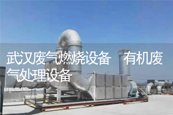 武汉废气燃烧设备 有机废气处理设备